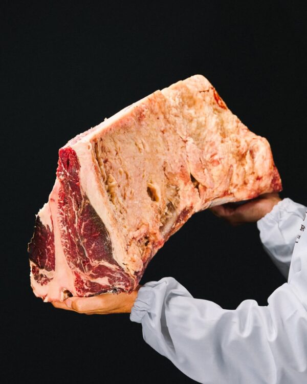 Vazia vaca maturada