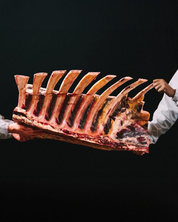 Tomahawk vaca maturada